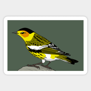 Cape May Warbler Magnet